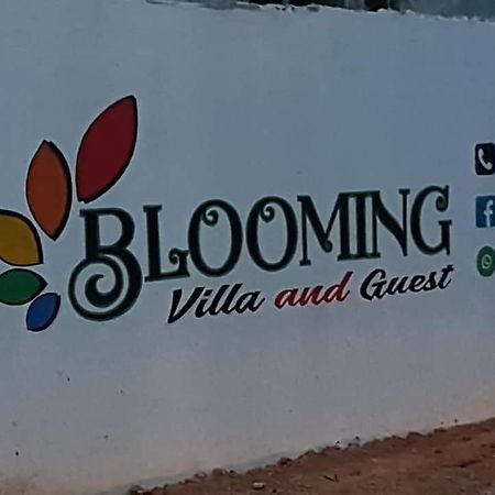 Blooming Villa & Guest 马特勒 外观 照片